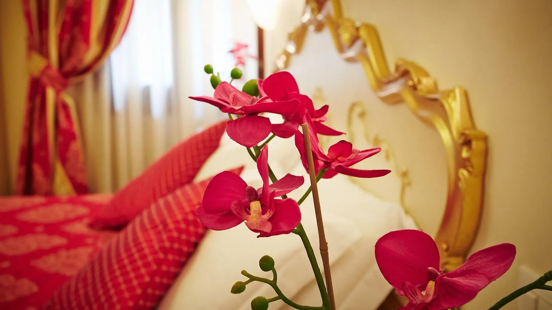 Hotel San Luca Venezia  ונציה